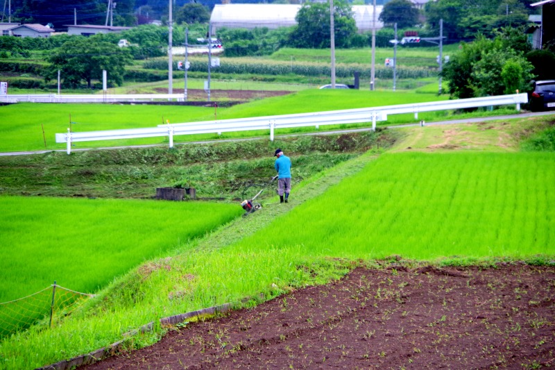 外部との連携推進 デジタル活用で事務簡素化